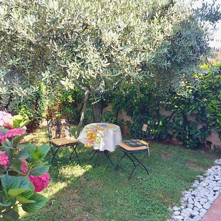 Appartamento Alida Umag Exteriör bild