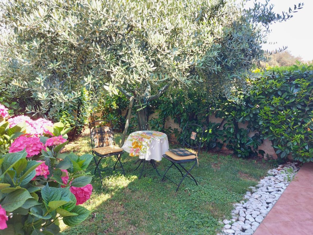 Appartamento Alida Umag Exteriör bild