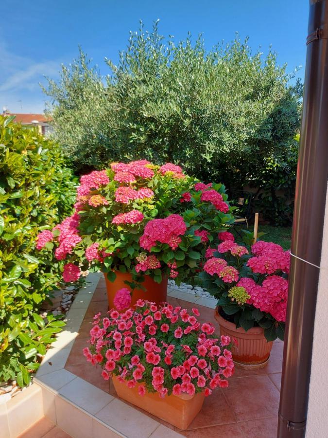 Appartamento Alida Umag Exteriör bild