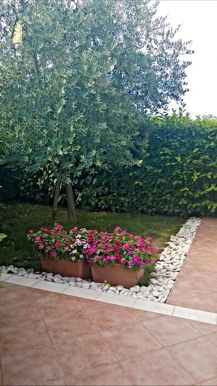 Appartamento Alida Umag Rum bild